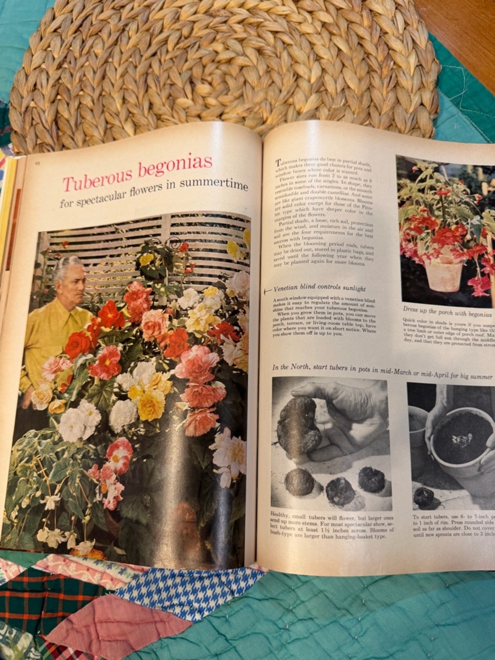 Better Homes And Gardens House Plants Book vintage - Picture 4 of 6